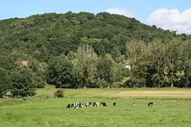 Réserve naturelle du Val.