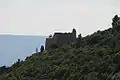 Le château de Saint-Saturnin vu d'en dessus.