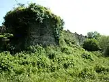 Vestiges du château des Salles perdus dans la végétation. Une grosse tour ronde est visible au premier plan.