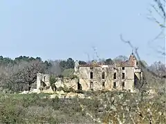 Le château de Longas.