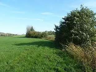 Les Sources de la Peene Becque a Sainte-Marie-Cappel.