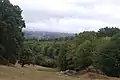 Paysage entre le hameau Le Dognon et Sainte-Marie-de-Vaux.