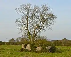 Dolmen de La Salle des Fées