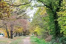 Le BA dans sa partie désaffectée, entre Aubigny-sur-Nère et Salbris, en 2009.