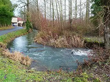 En amont de la RD 41, le Salembre en remontant vers les Jarissades.