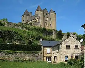 Château de Salignac