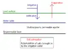 Salinisation d'une plaine artificiellement irriguée