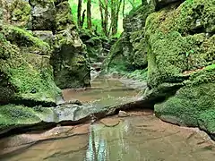 Petit canyon sur le ruisseau du Todeur.