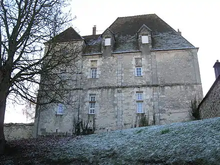 Le château de Salins.