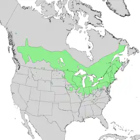 Description de l'image Salix discolor range map 1.png.