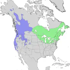 Description de l'image Salix lucida & lasiandra range map 1.png.