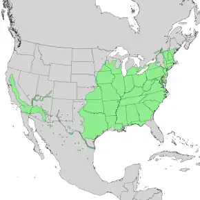 Description de l'image Salix nigra range map 1.png.