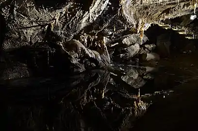 Salle des Draperies, grottes de Han, Belgique.