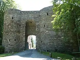 Château des comtes de Salm à Salmchâteau, Vielsalm, dans la province de Luxembourg de Belgique ; siège d'origine, Bas-Salm ou Salm dans les Ardennes.