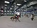 Le salon du cheval de Bourgogne-Franche-Comté.