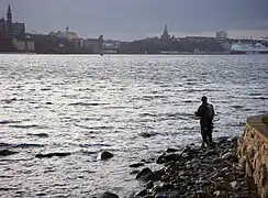 Pêche au saumon à Saltsjön depuis Södra Djurgården, en arrière-plan, vous pouvez voir Södermalm