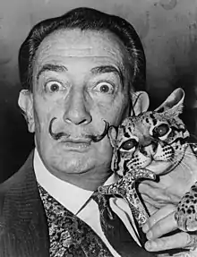 Sur une photographie en noir et blanc, Salvador Dalí avec de gros yeux tenant un ocelot et le pommeau de sa canne