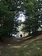 Fossé entourant la motte castrale avec l'église en fond.