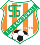 Logo du Samgurali Tskhaltubo