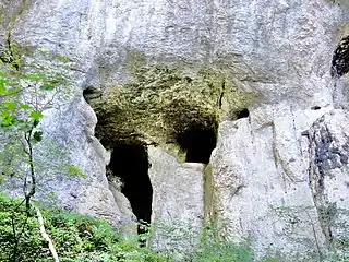 Grotte de la Baume.