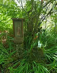 Source Saint-Basile de Sanguinet, invoqué pour soigner les maux des yeux et les maladies de peau