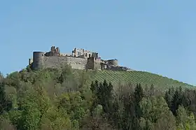 Image illustrative de l’article Château de Taggenbrunn