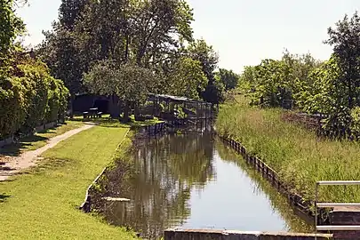 Les canaux bruns et étroits de l'ile