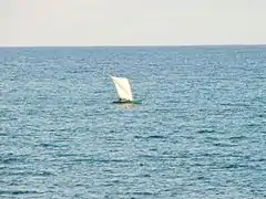 Petite embarcation à voile carrée.