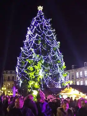 Sapin de Noël de Mons, Cœur en Neige de la 10e édition en 2014.