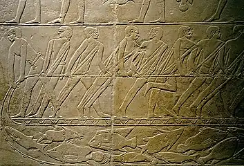 Pêcheurs de poisson au filet, nus. Tombe de Mereruka, Saqqara, Ancien Empire