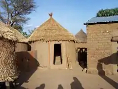 Saré massa à Koumi (Tchad).