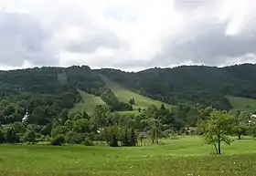 Šarbov