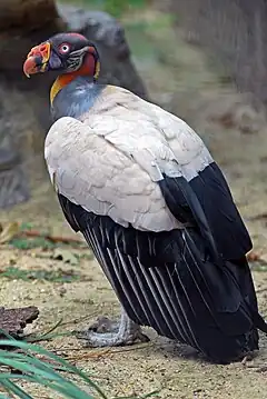 Description de cette image, également commentée ci-après