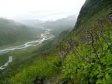 Vallée de montagne avec une rivière anastomosée.