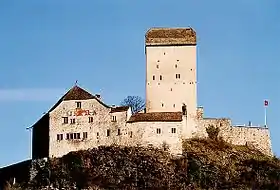 Image illustrative de l’article Château de Sargans