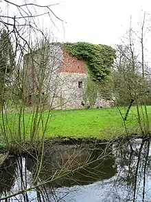 Vestiges du château de Sars-la-Bruyère.