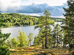 Vue de la colinne Satasarvinen à Muuratsalo.