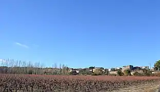 Vue sur les vignes et le village de Saturargues.