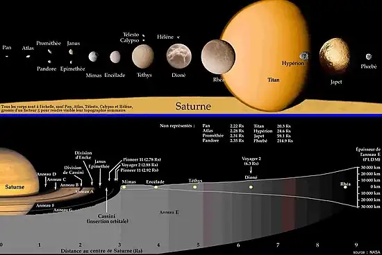Infographie comparant les plus grandes lunes de Saturne entre elle à l'échelle en haut et montrant leur distance en bas.