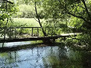 Marais des Grands Prés, passerelle.