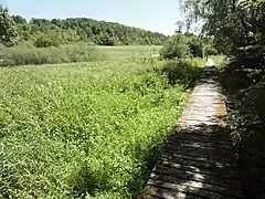 Le marais des Grands Prés à Saucourt-sur-Rognon dans le nord.