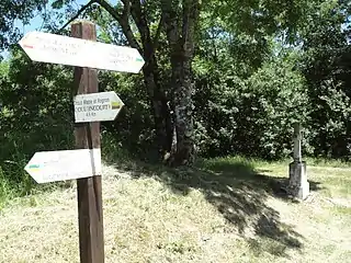 Flêchage chemins de randonnée à Saucourt.