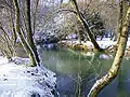 La Saulx (rivière) en hiver.