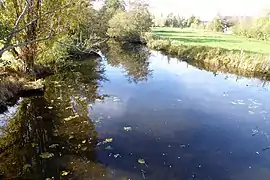 Saumeray, le Loir, vue amont à partir du pont.