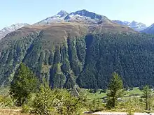 Montagne présentant un étage de forêt de conifères, au-dessus des pelouses alpines et au sommet des rochers et névés.