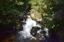 Entre Xonrupt-Longemer et Gérardmer (cascades du Saut des Cuves).