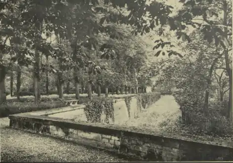 Saut du loup dans le parc en 1913.