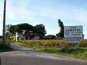 Image illustrative de l'article Château Lamothe (Sauternes)