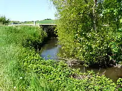 La Sauvanie en amont du pont de Greneyren, en limites de Saint-Martial-Viveyrol et Verteillac.