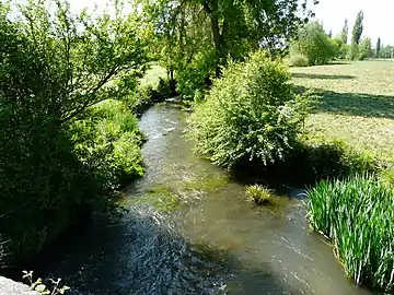 La Sauvanie au pont de Greneyren (route départementale 97), en limite de Verteillac (à gauche) et Saint-Martial-Viveyrol.